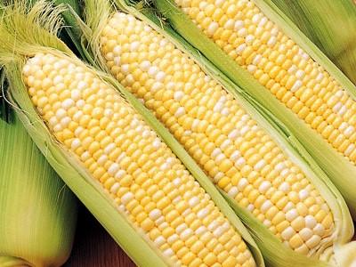 はっぴー農産・はっぴーバウム