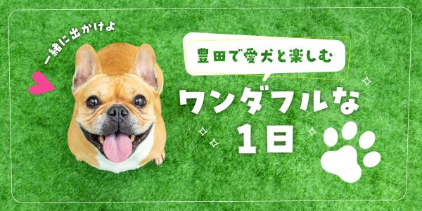 豊田で愛犬と楽しむワンダフルな1日