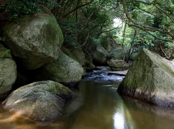 Otaki GorgeOtaki Gorge