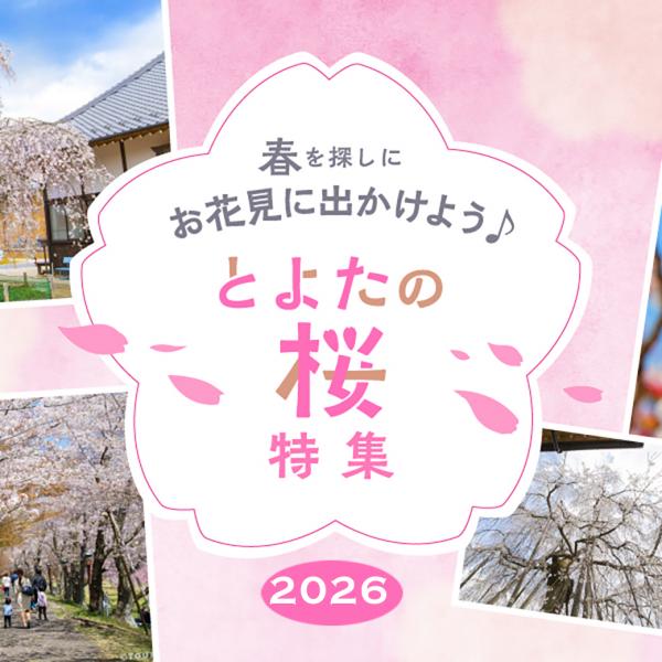 春を探しに出かけよう♪ とよたの桜特集