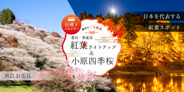 豊田・香嵐渓紅葉ライトアップ&amp;小原四季桜　日帰りバスツアー