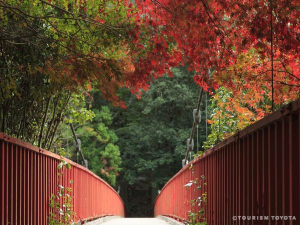 Otaki GorgeOtaki Gorge