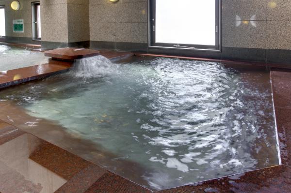 プラザホテル豊田