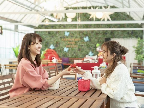 ストロベリーパークみふね