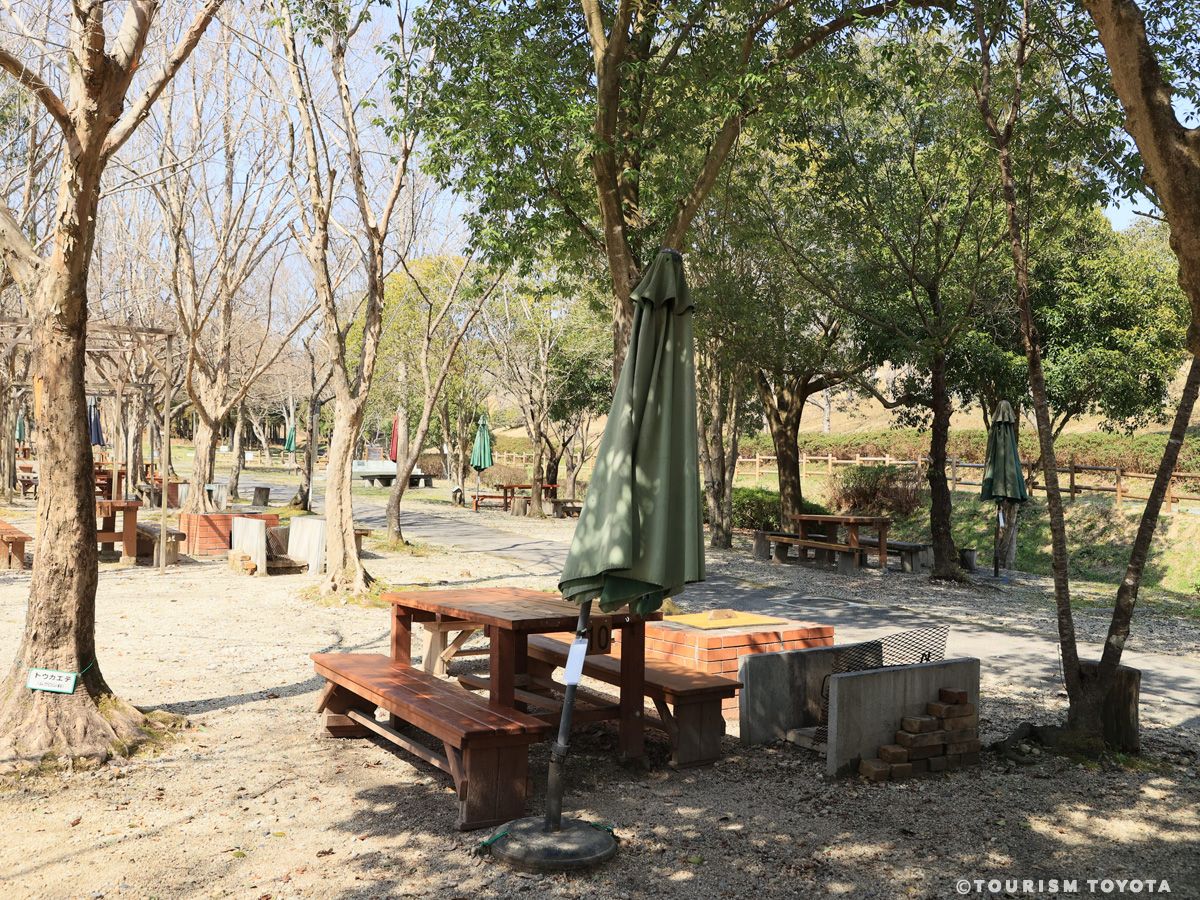 愛知県緑化センター・昭和の森　BBQ場