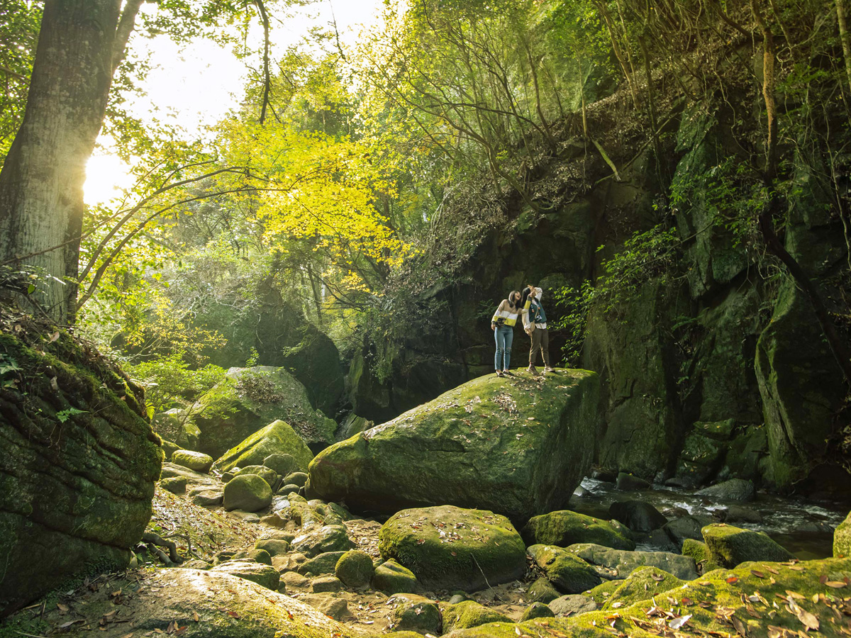 アクティビティ体験