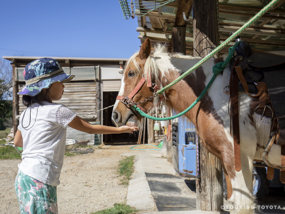 ふれあい動物園