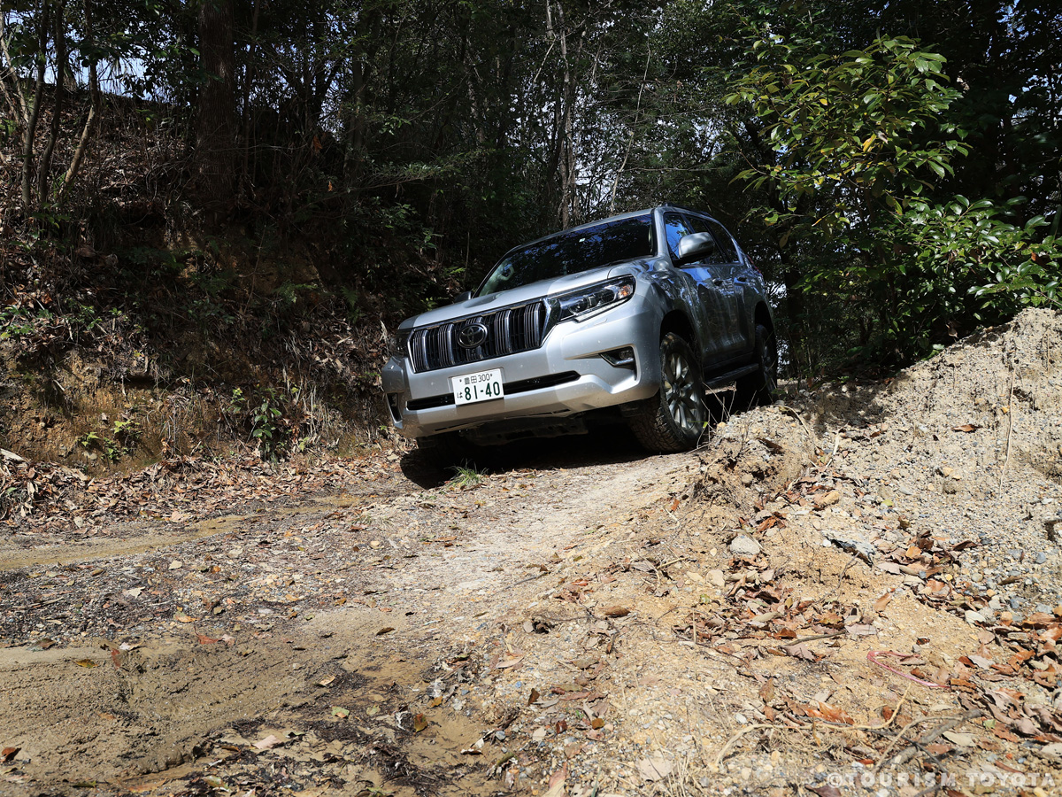 さなげアドベンチャーフィールド