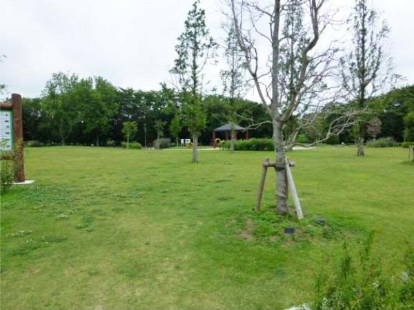 柳川瀬公園