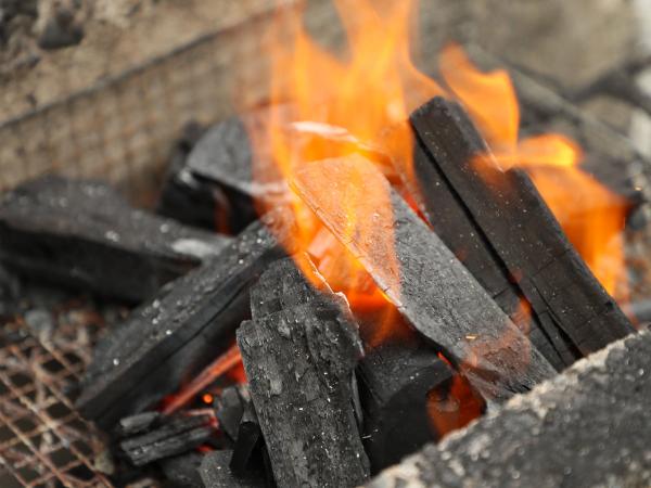 アウトドアガーデンいなぶ