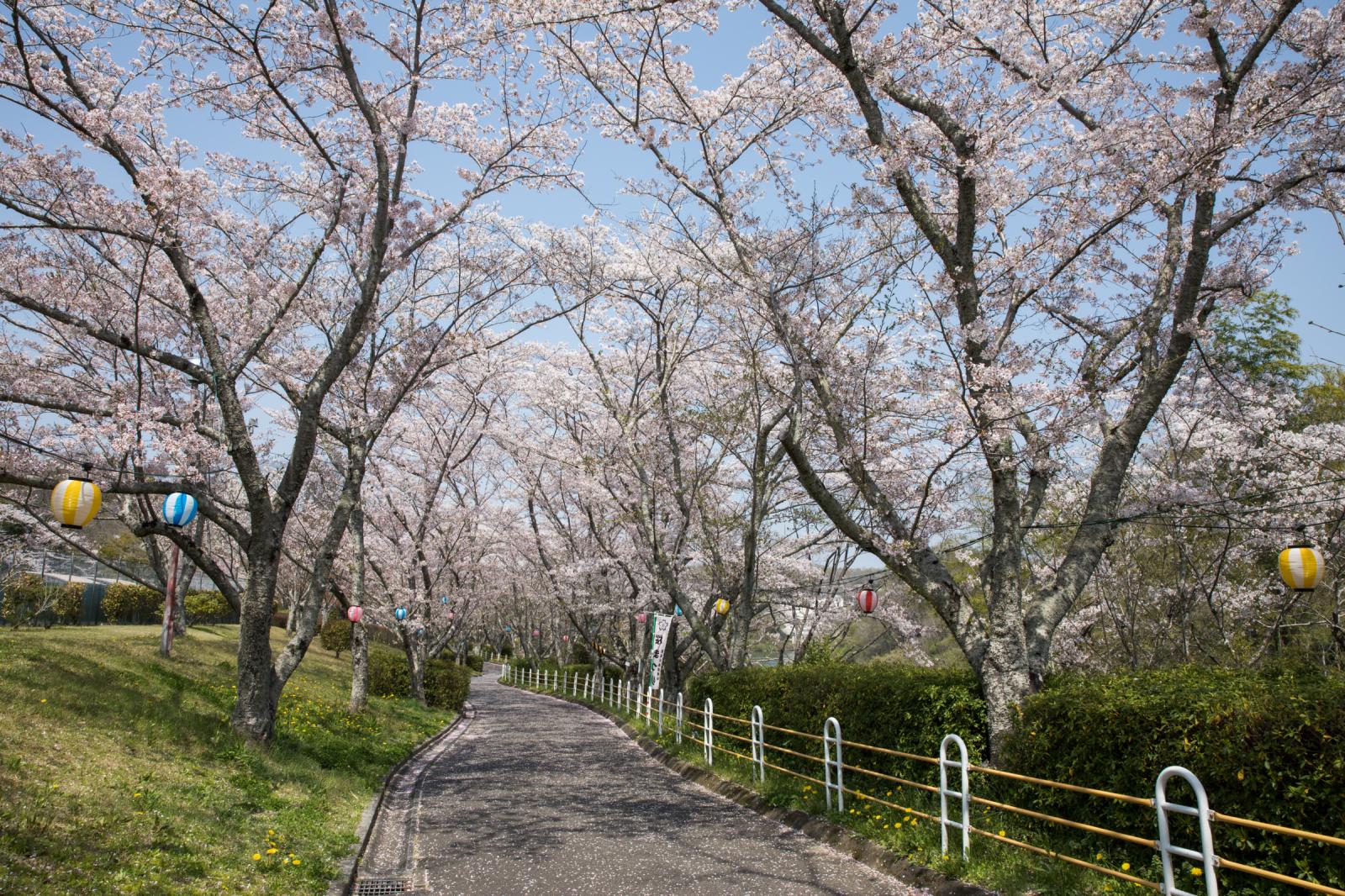 Hiratobashi Park