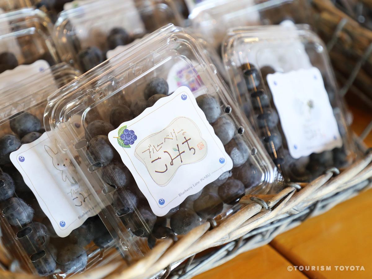 Blueberry-no-Komichi