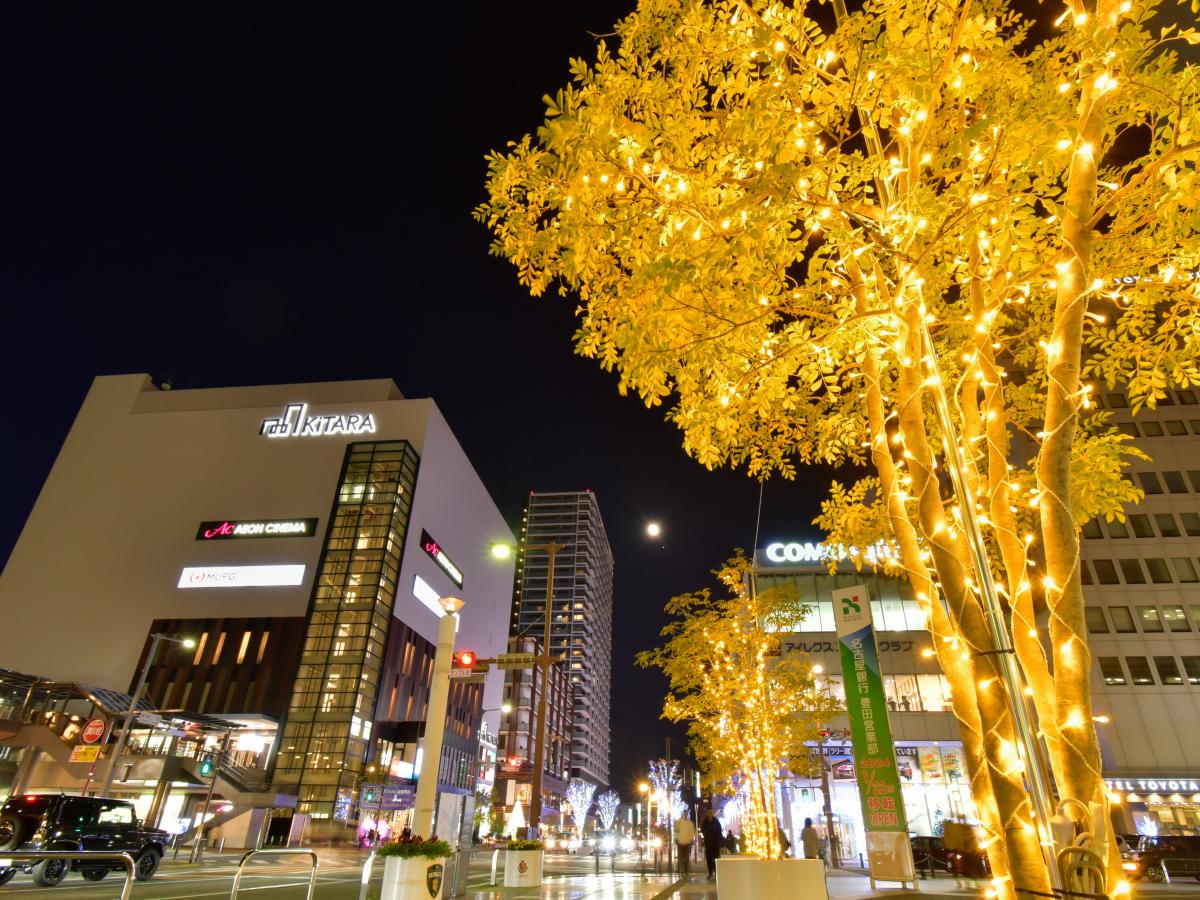 Illumination Story in Toyota 2025