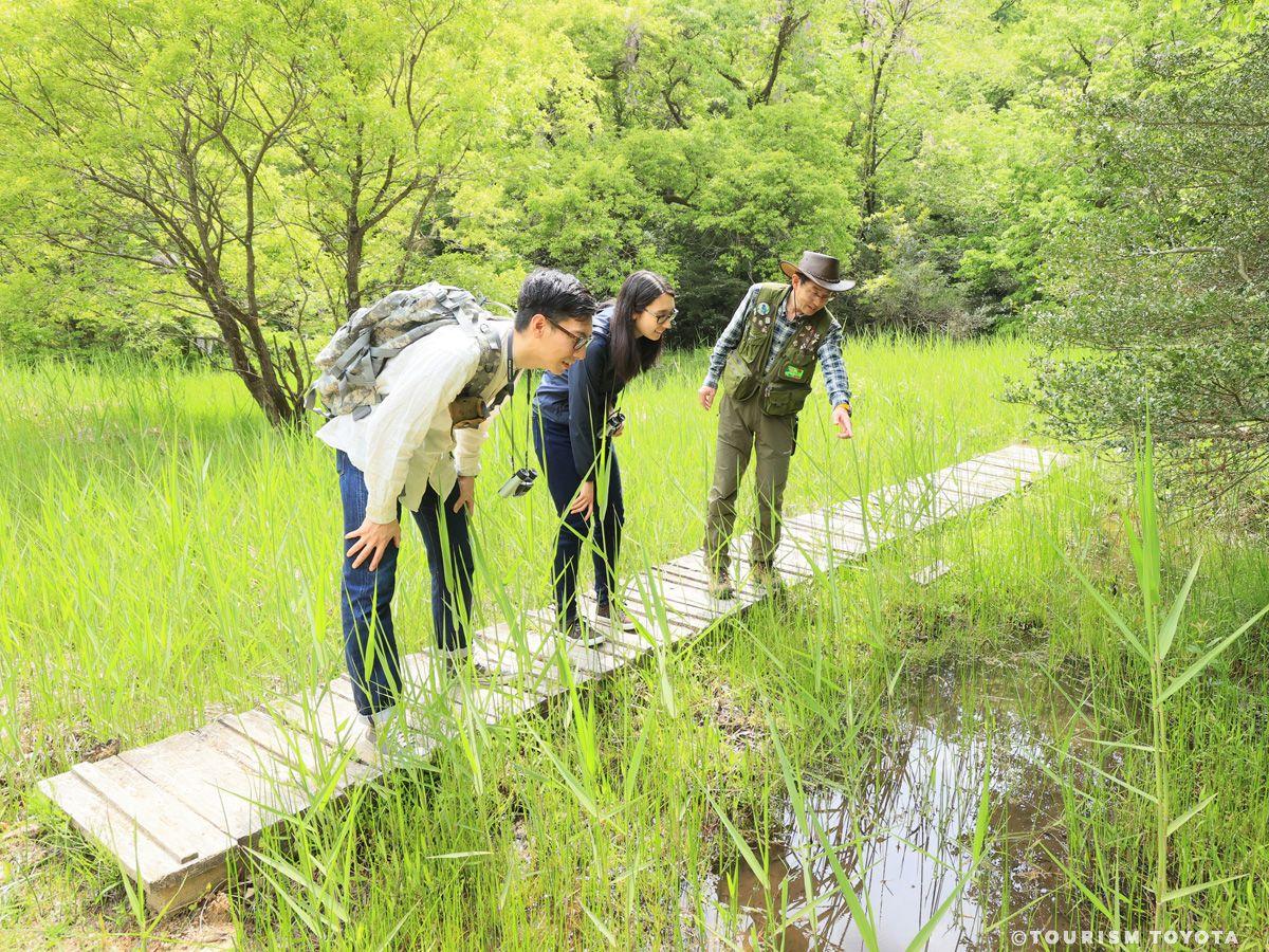豊田市自然観察の森