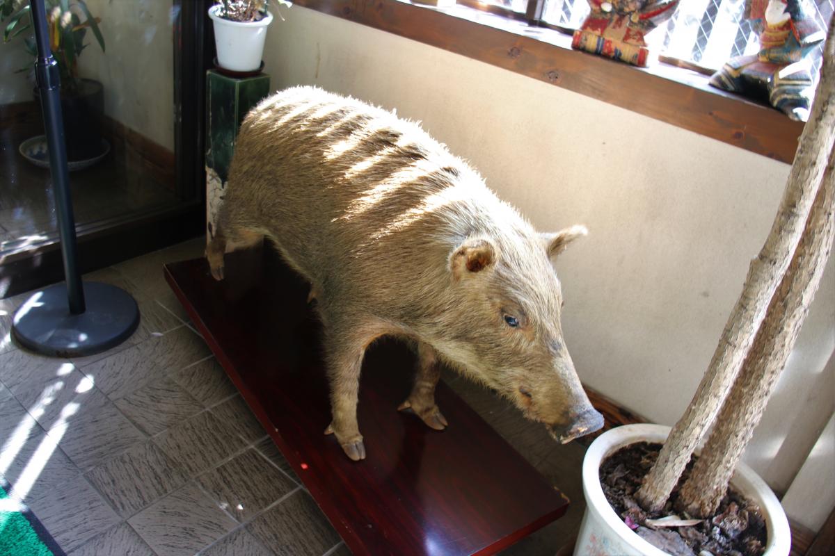 当季料理　井筒龟