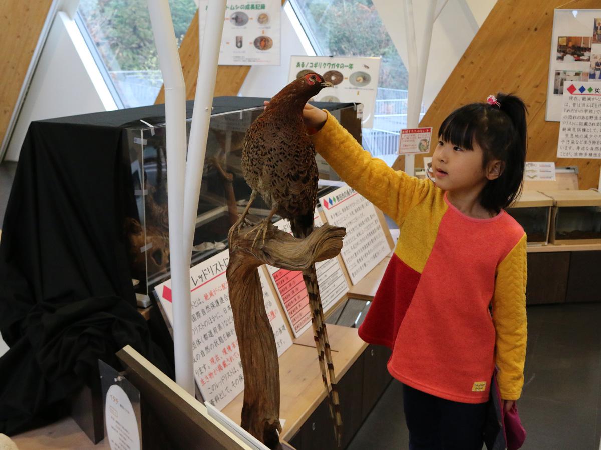 Toyota City Nature Sanctuary
