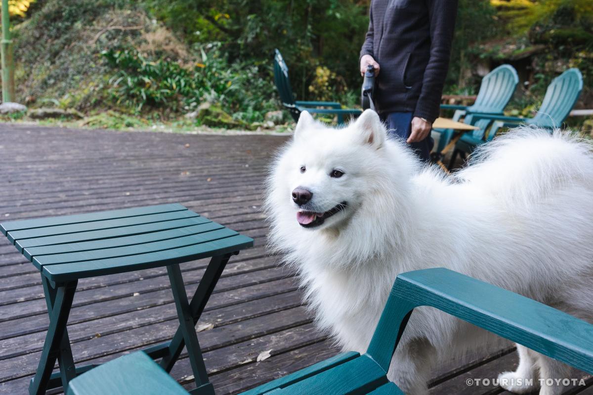 Macro Village（マクロヴィレッジ）