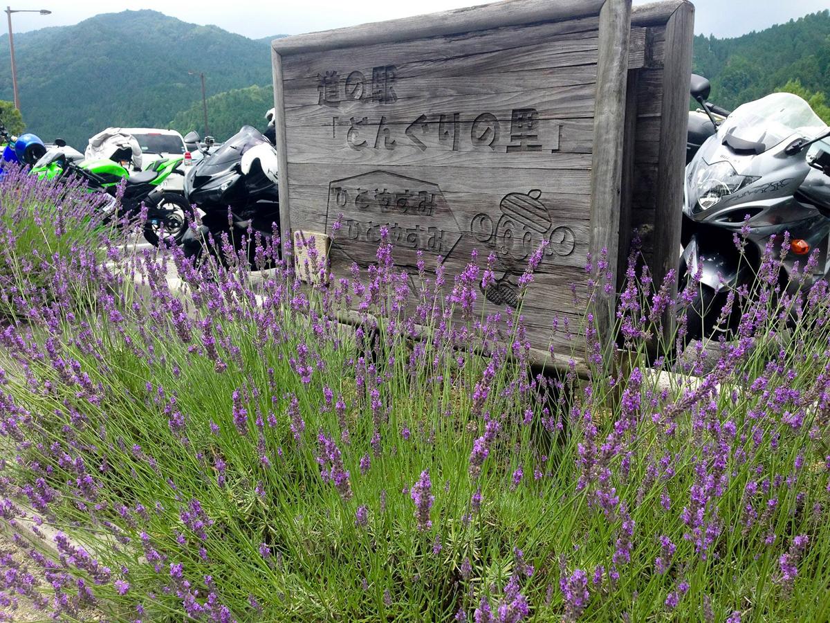 どんぐり工房 ラベンダー