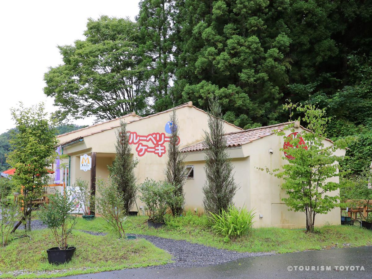 Blueberry-no-Komichi