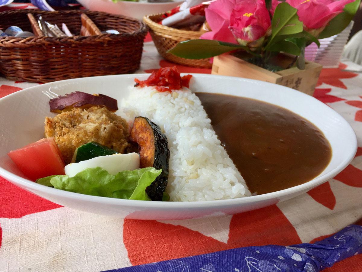 羽布ダムカレー