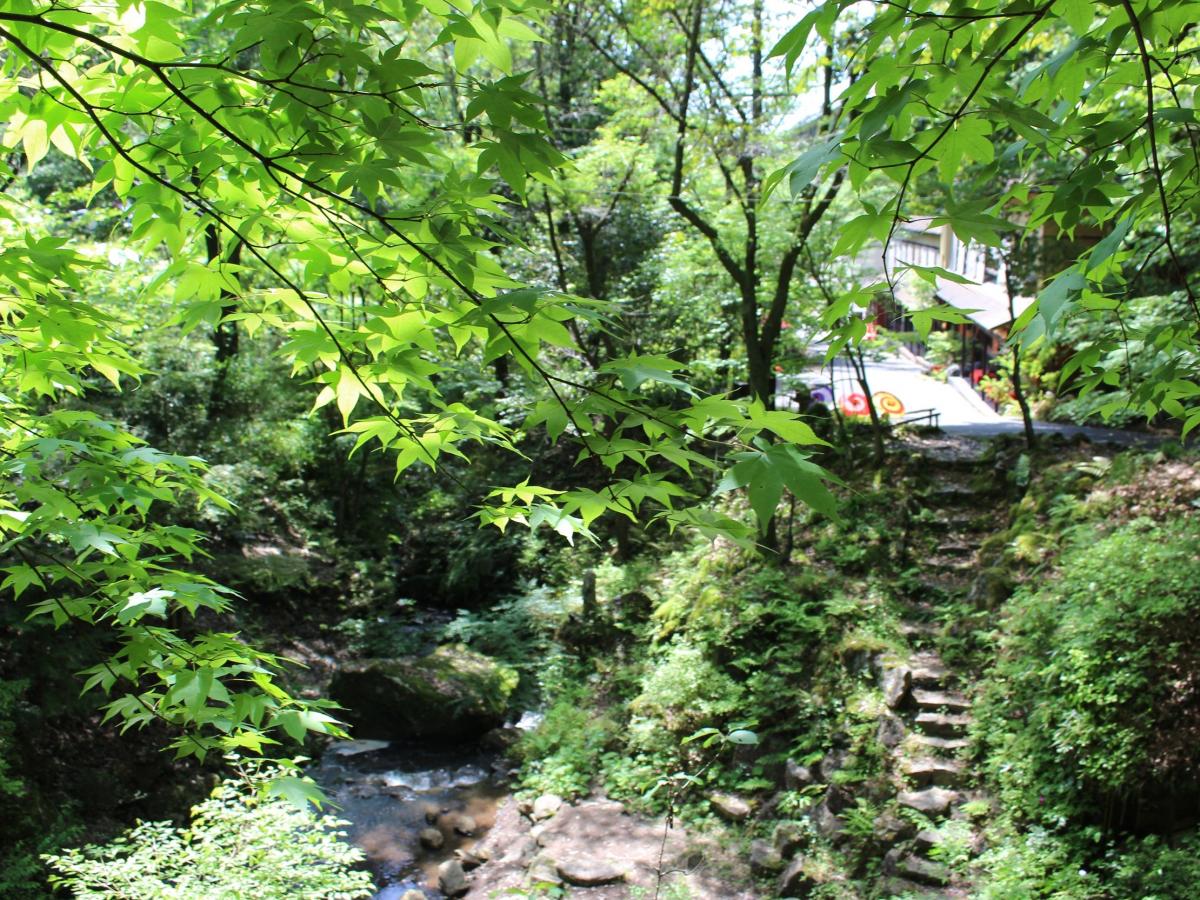猿投温泉　日帰り温泉 岩風呂 金泉の湯