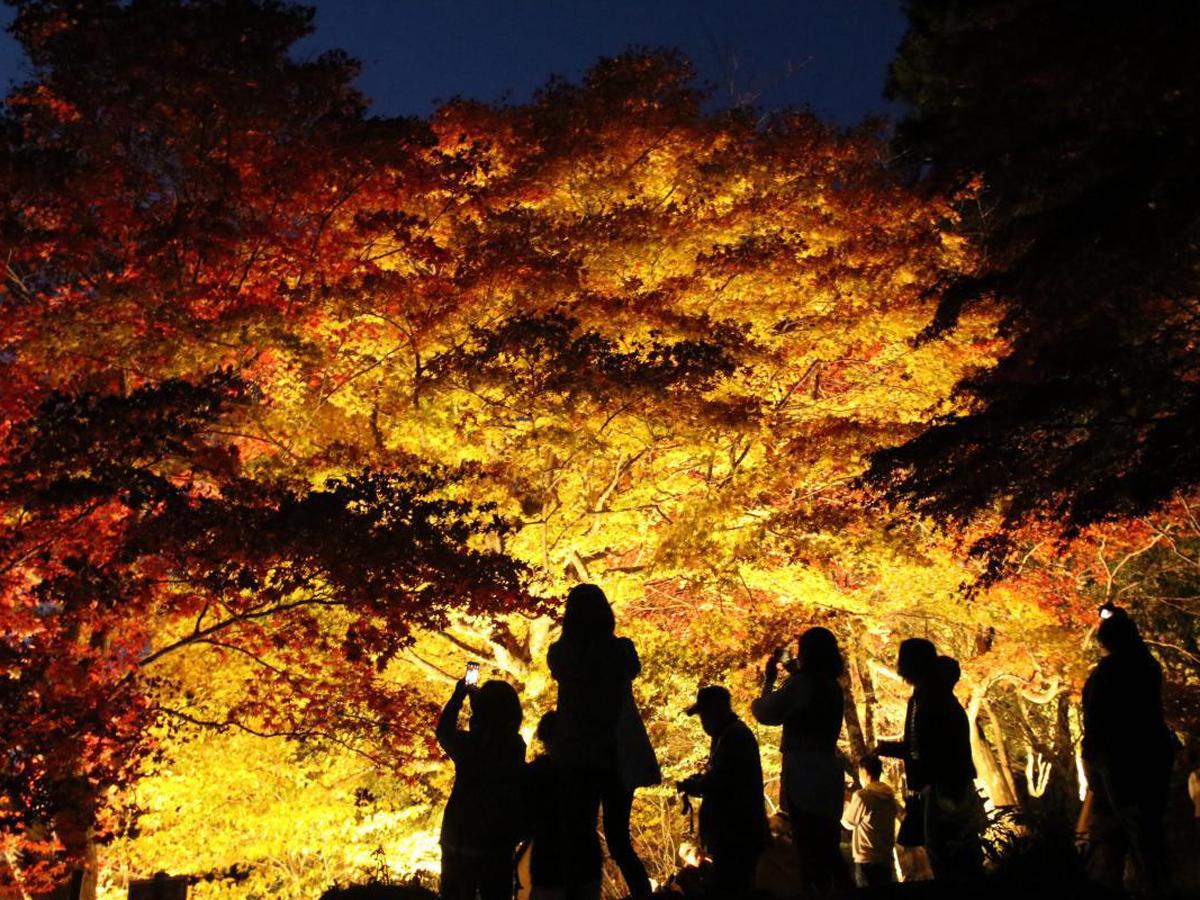 稲武もみじまつり