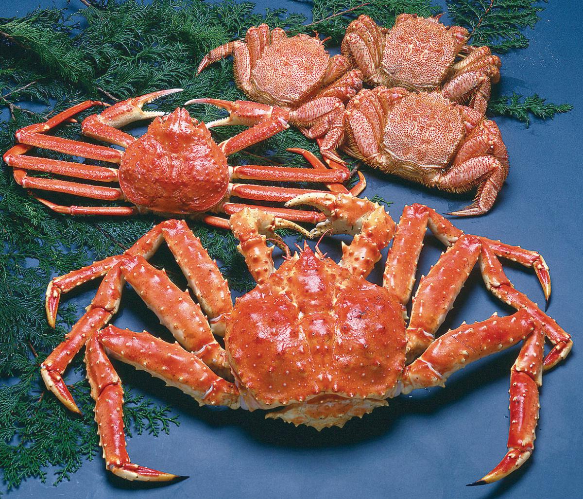 札幌かに本家　豊田城店