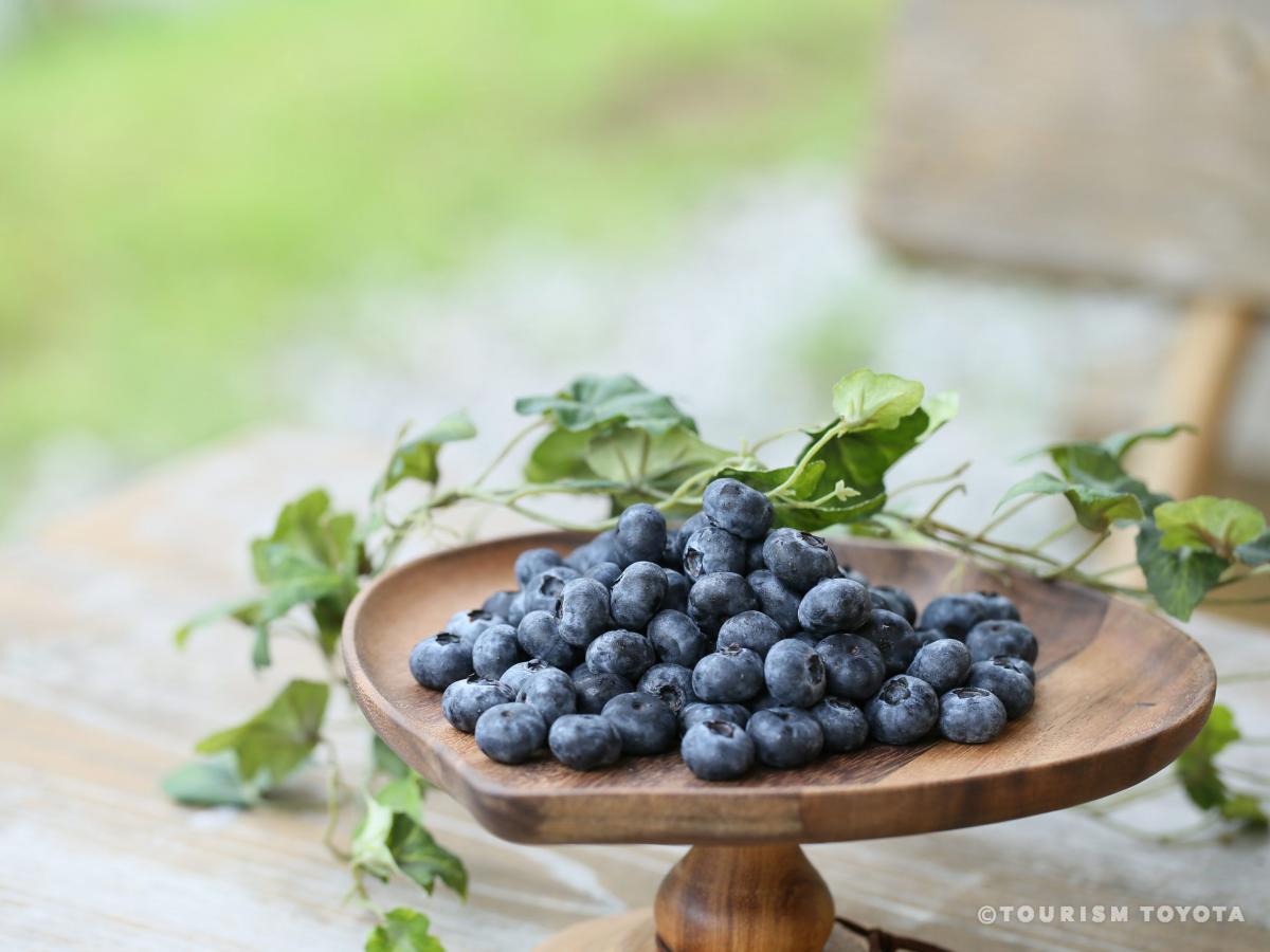 Blueberry-no-Komichi