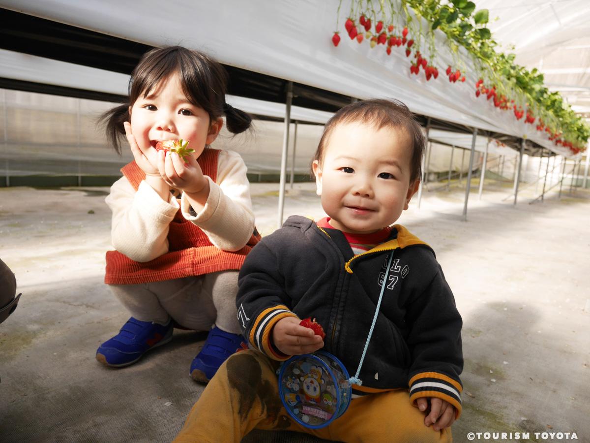 うめこう桃梨苺園