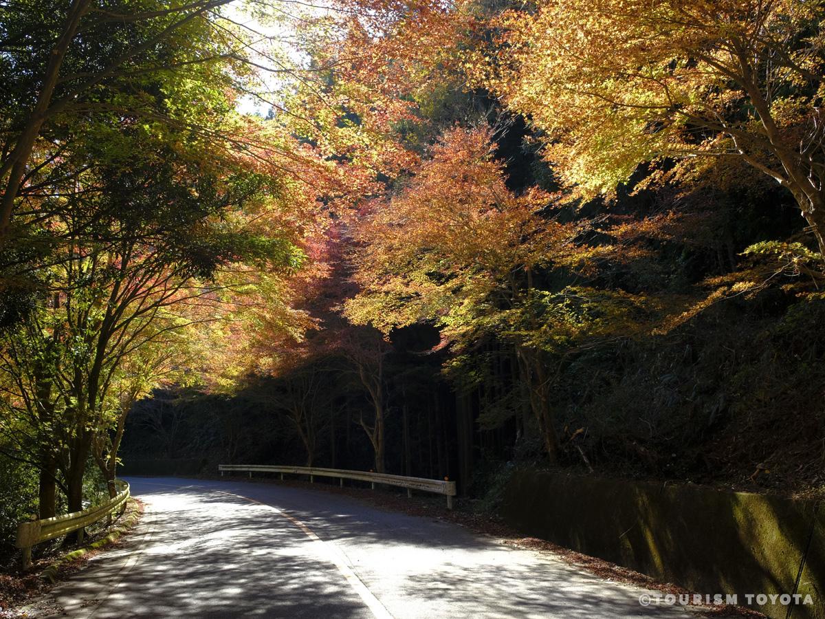 Maple Leaves Road (Momiji Kaido)