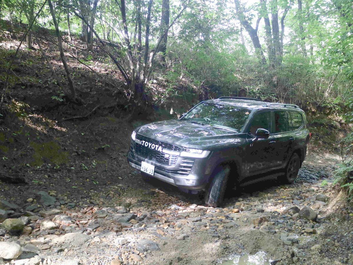 さなげアドベンチャーフィールド