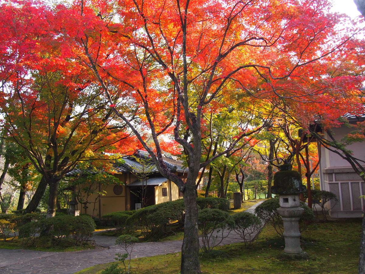 勘八峡紅葉ウオーキング
