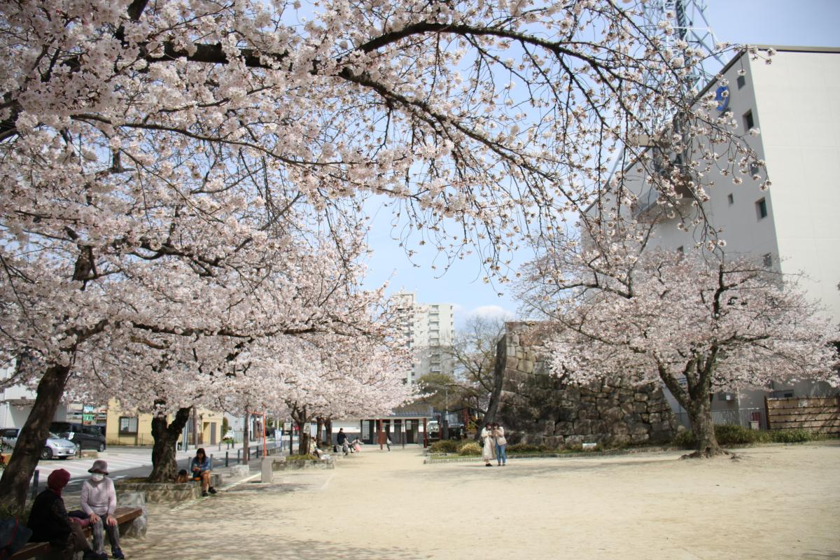 举母城角楼遗迹（樱城）