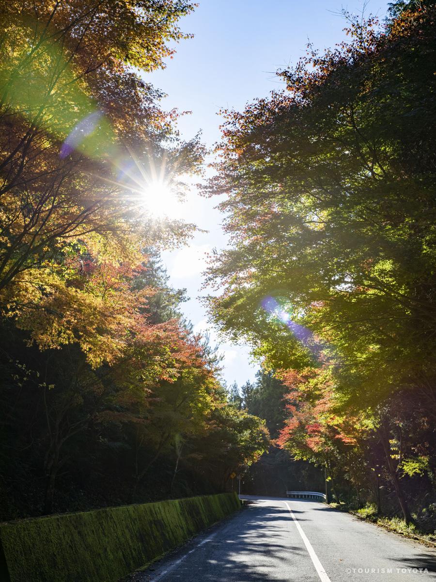 もみじ街道（加茂広域農道）