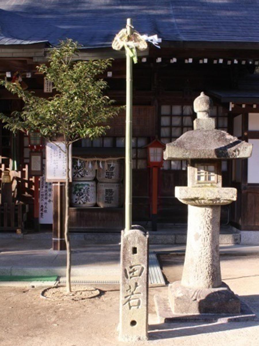 足健康祭(足まつり)