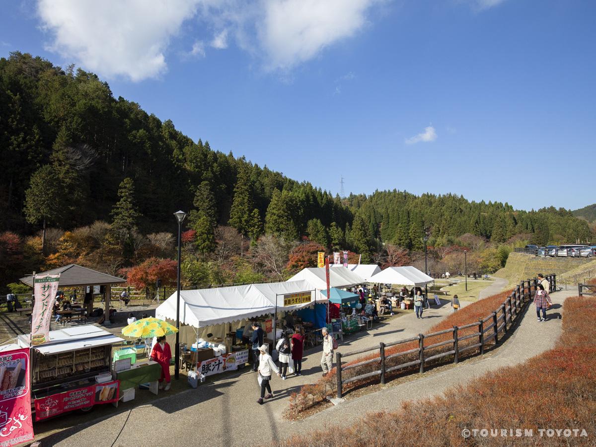 丰田市 稻武 红叶节