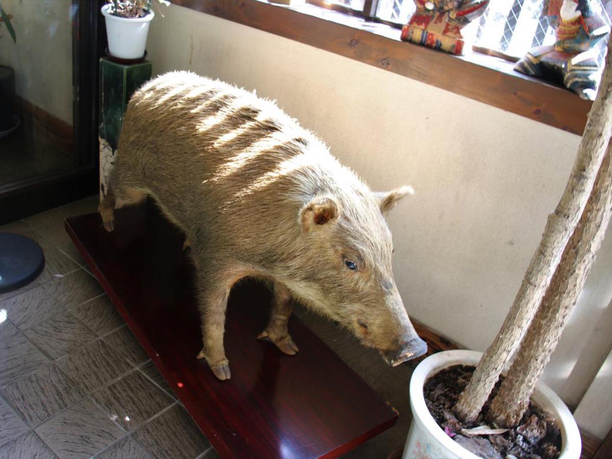 季節料理　井筒亀(いづかめ)