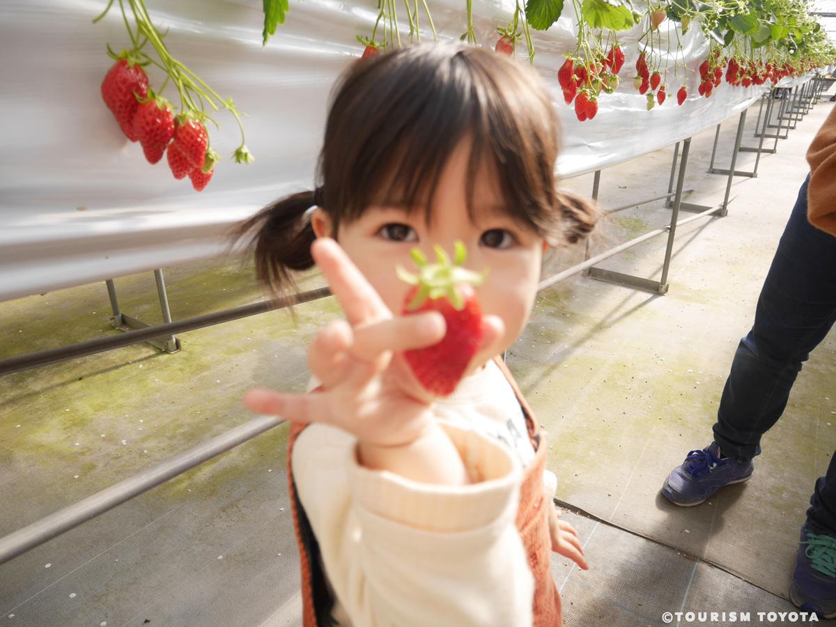 うめこう桃梨苺園