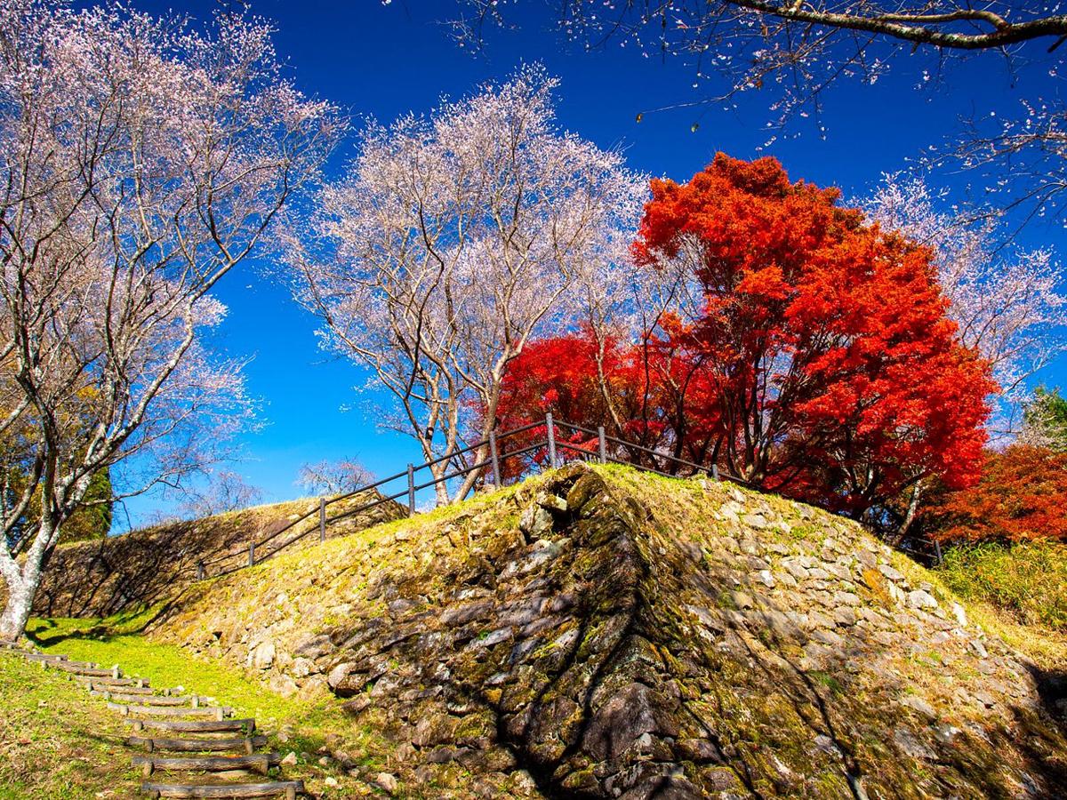 豊田御城印プロジェクト | 【公式】愛知県豊田市の観光サイト