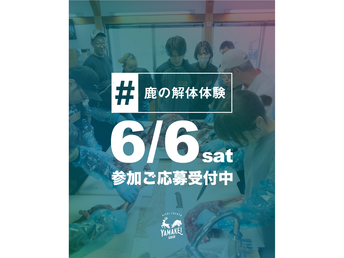 猪鹿工房山恵 鹿の解体イベント