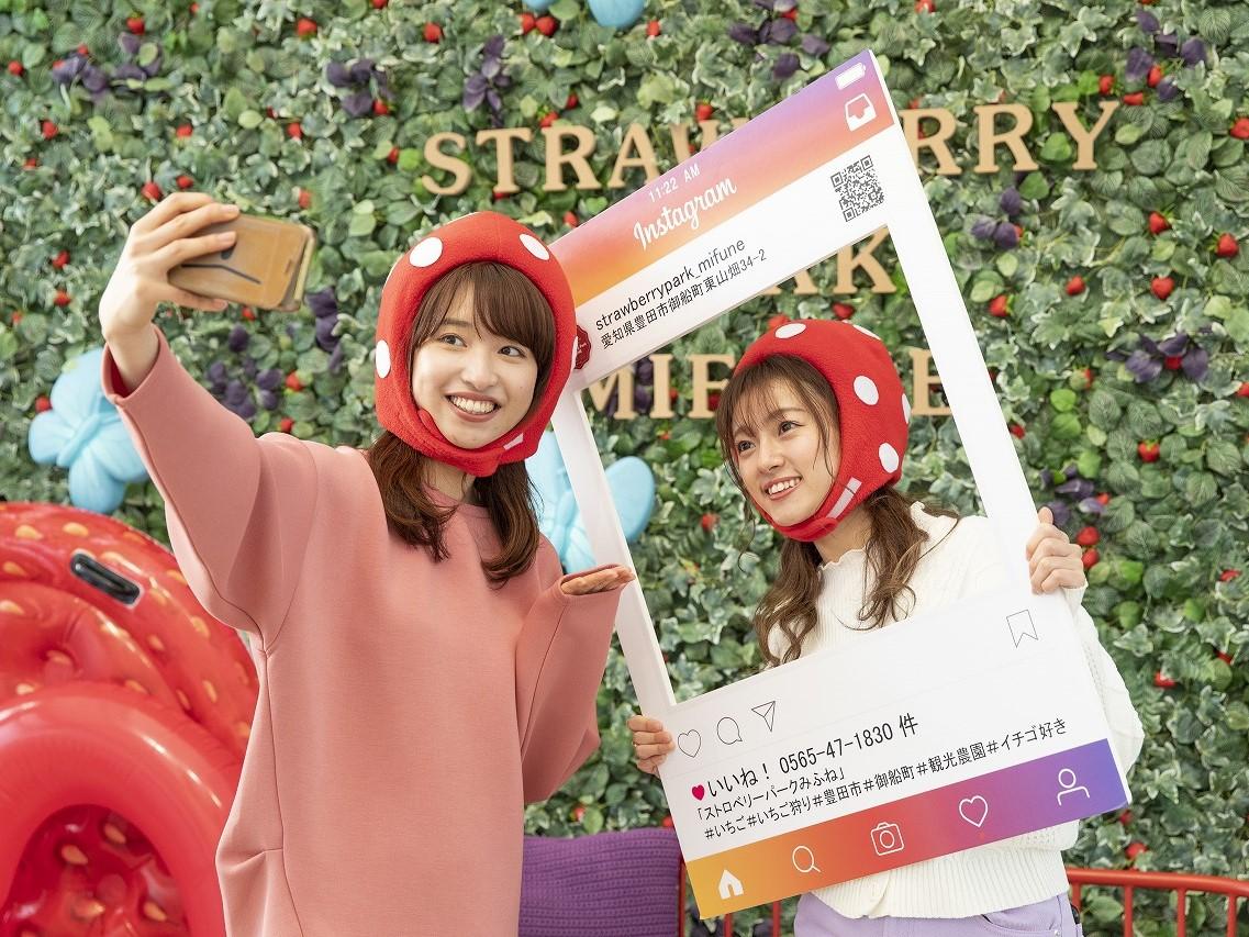 ストロベリーパークみふね