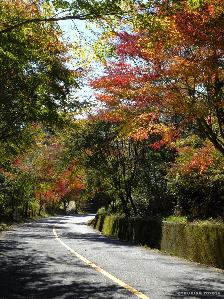 もみじ街道（加茂広域農道）