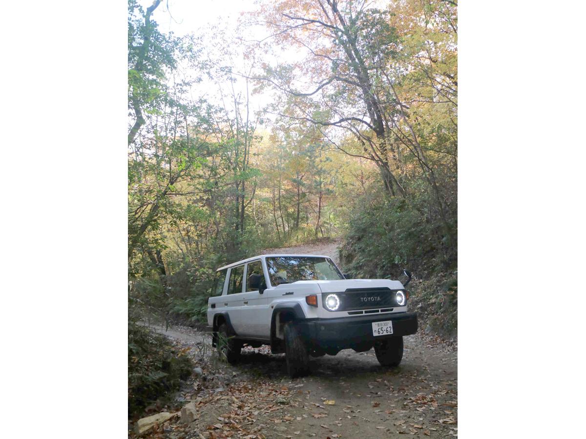 さなげアドベンチャーフィールド