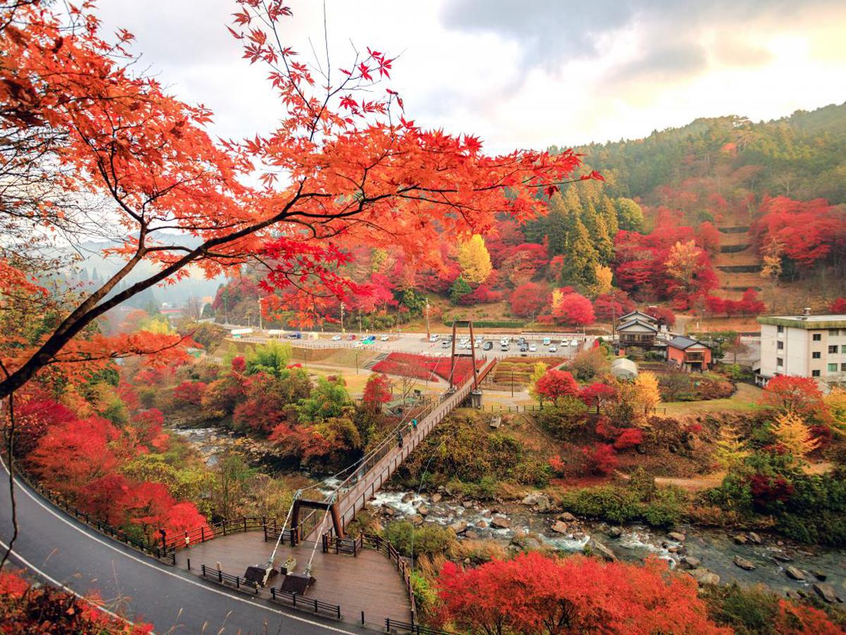 稲武 もみじまつり