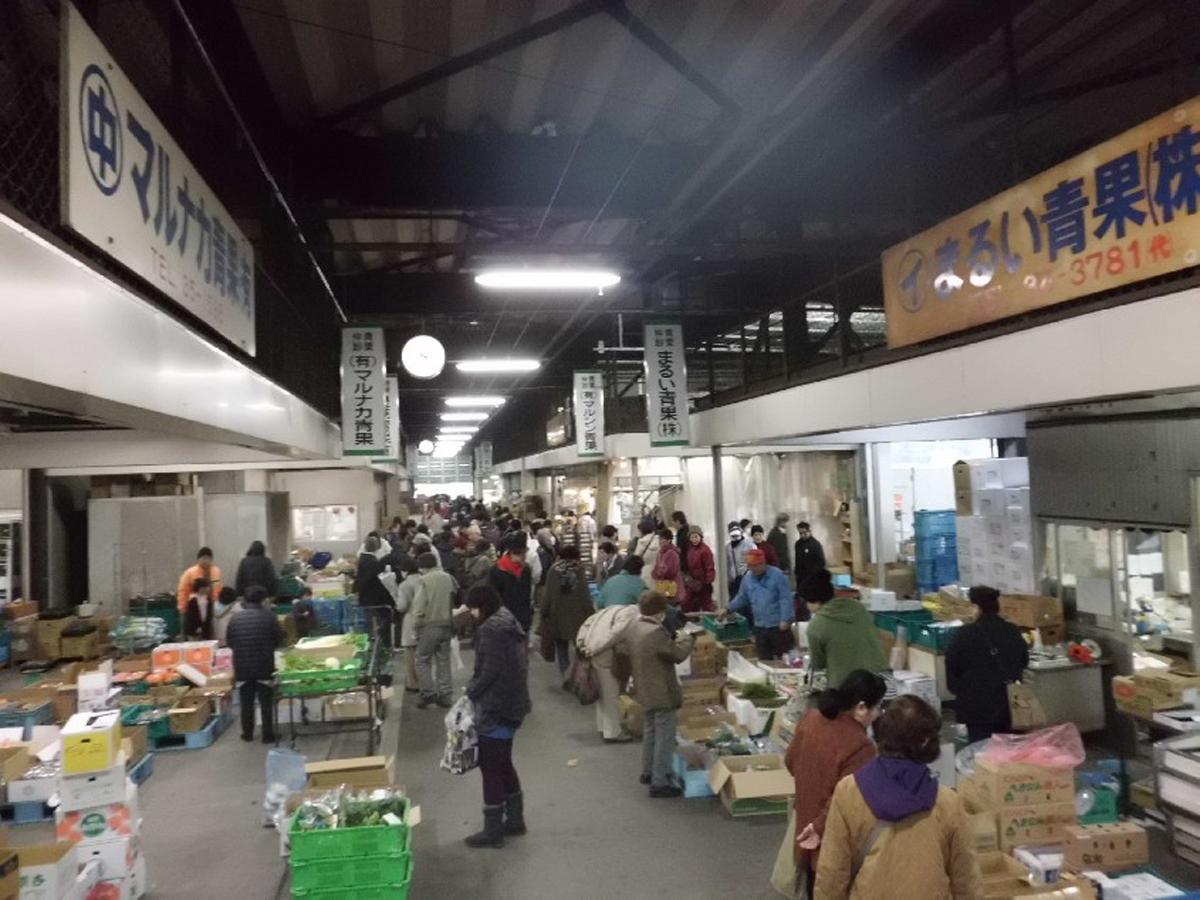 卸売市場一般開放