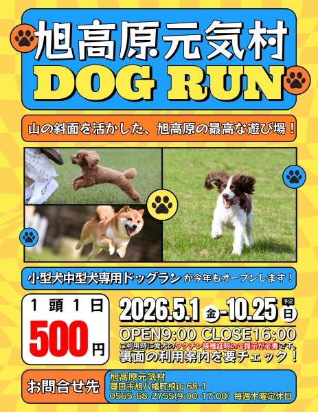 ドッグラン