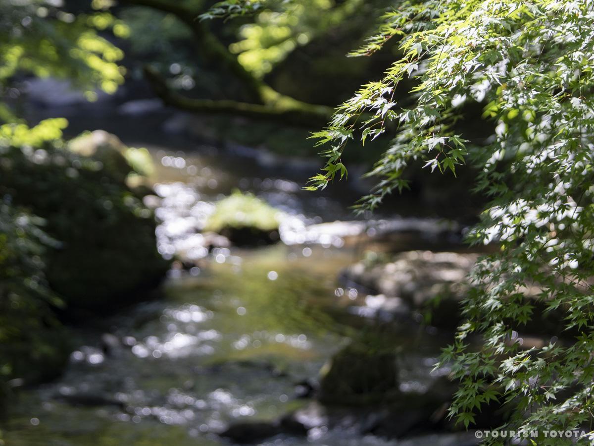 Otaki GorgeOtaki Gorge