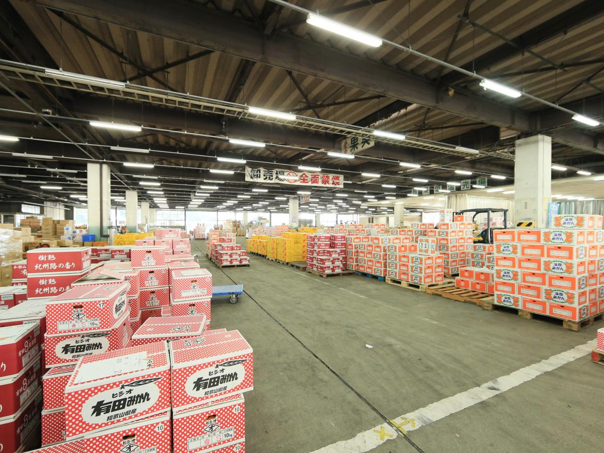 卸売市場一般開放