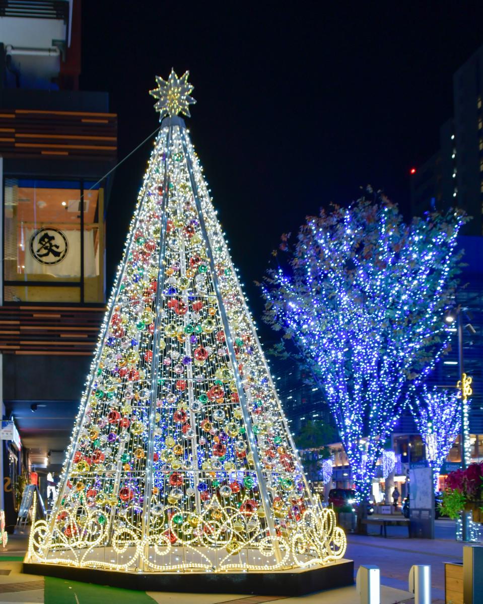 イルミネーションストーリー in とよた