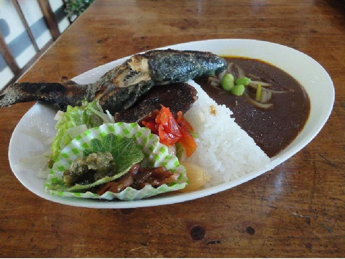 羽布ダムカレー